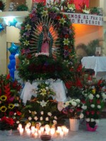 /album/fotogaleria-fotogaleria/a1477813-691628620871263-783801929-n-jpg1/